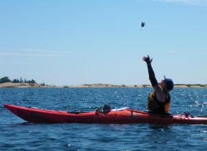 Paddle toss_thumb